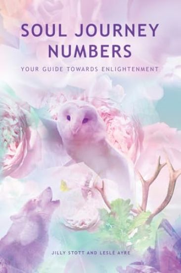 Soul Journey Numbers