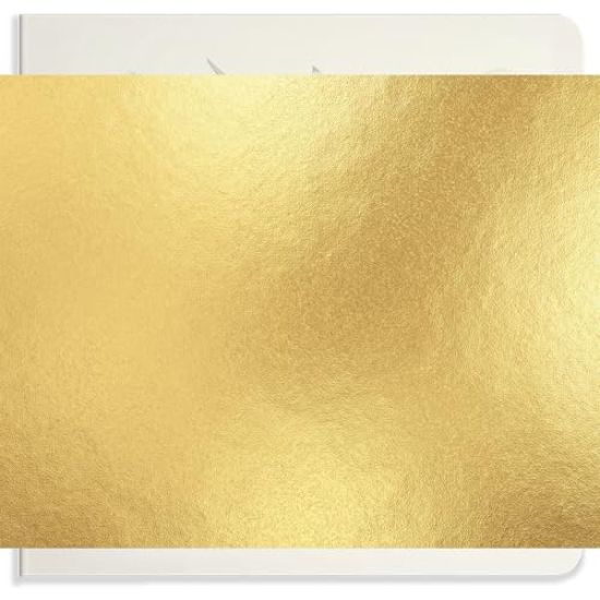 Our Big Book of Animals