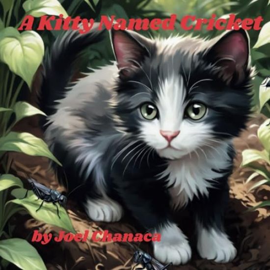 A Kitty Named Cricket