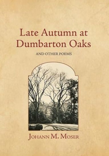 Late Autumn at Dumbarton Oaks