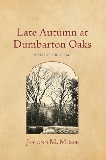 Late Autumn at Dumbarton Oaks