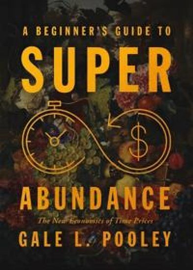 A Beginner's Guide to Superabundance