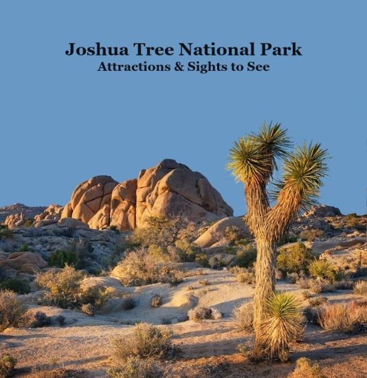 Joshua Tree National Park Attractions and Sights to See Kids