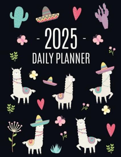 Llama Planner 2025