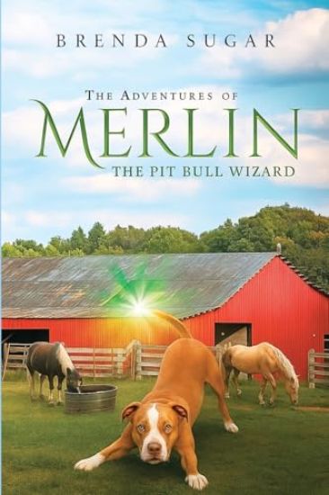 The Adventures of Merlin the Pit Bull Wizard