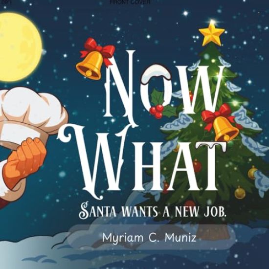 Now What? Santa Wants A New Job