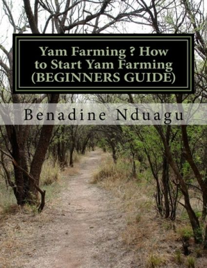 Yam Farming ? How to Start Yam Farming (BEGINNERS GUIDE)