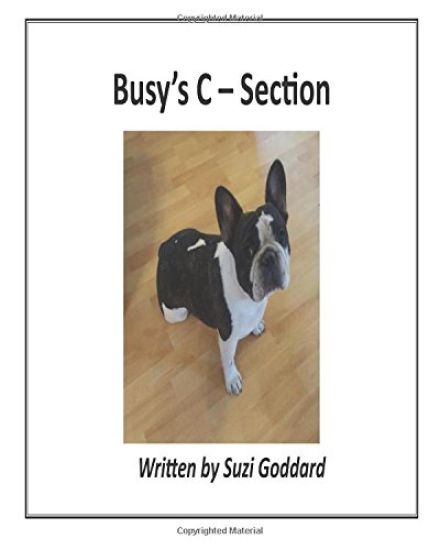 Busy's C - Section