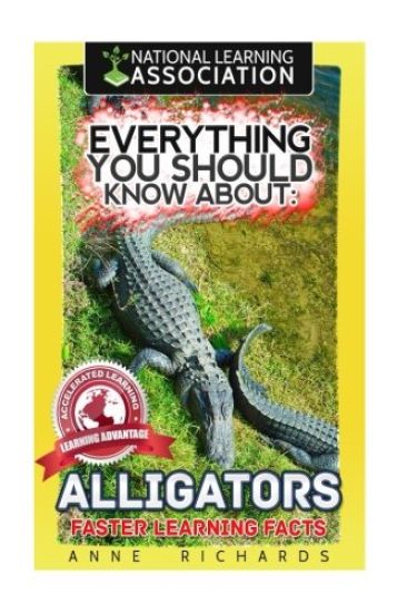 Everything You Should Know About: Alligators