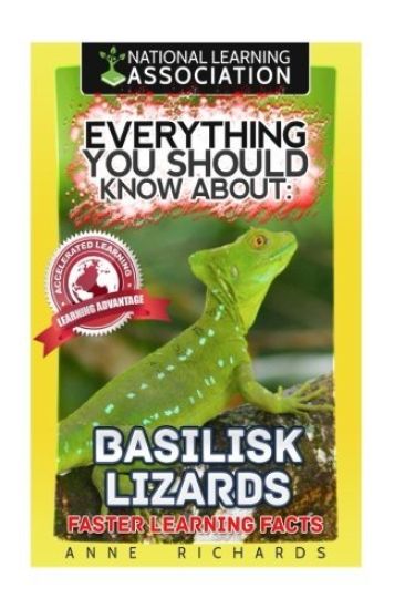Everything You Should Know About: Basilisk Lizards