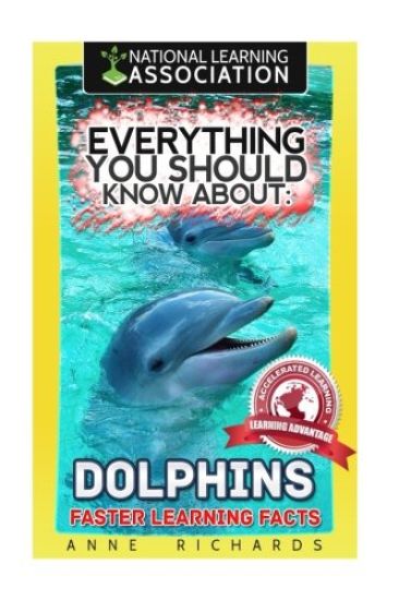 Everything You Should Know About: Dolphins