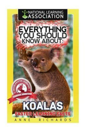 Everything You Should Know About: Koalas