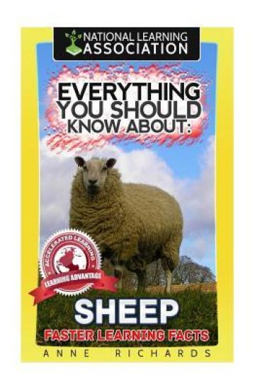 Everything You Should Know About: Sheep