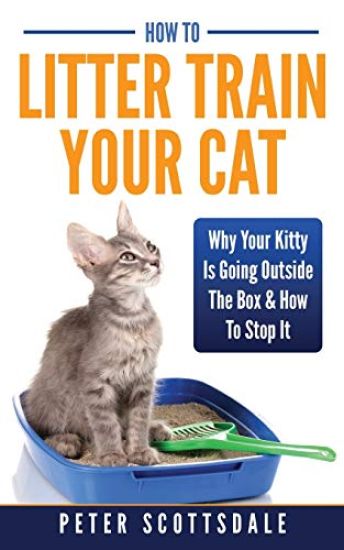 How To Litter Train Your Cat