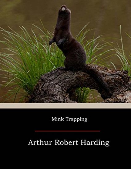 Mink Trapping