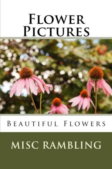 Flower Pictures: Flowers Photos