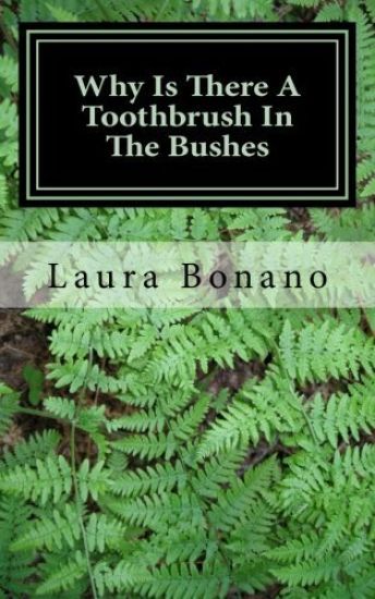 Why Is There A Toothbrush In The Bushes: And Other Little Life Mysteries