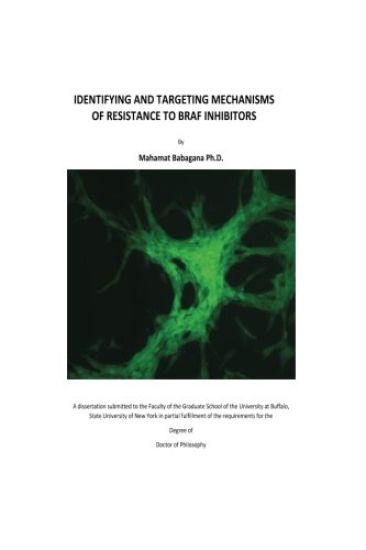 Identifying and Targeting Mechanisms of Resistance to BRAF Inhibitors