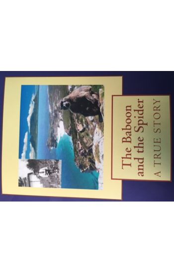 The Baboon and the Spider