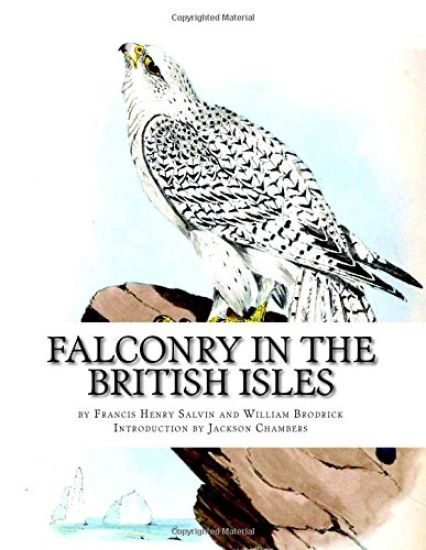 Falconry in the British Isles