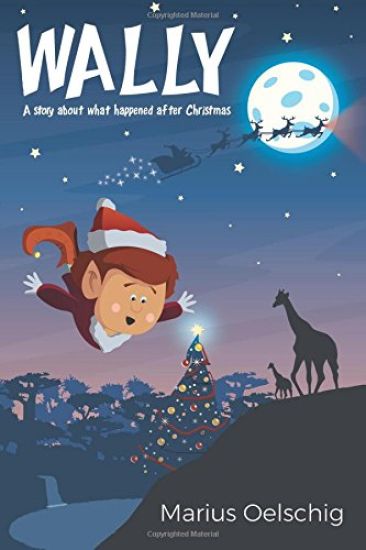 Wally: A story about what happened after Christmas