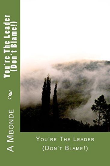 You're The Leader (Don't Blame!)