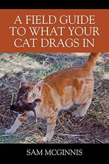 A Field Guide to What Your Cat Drags In