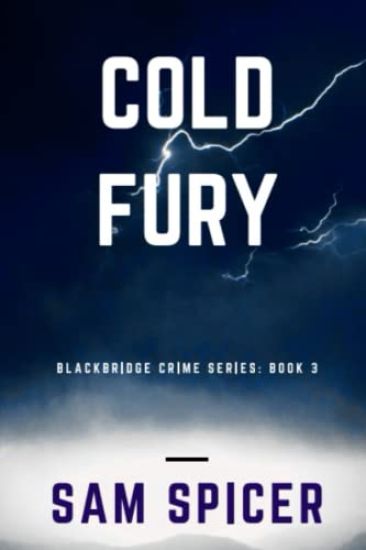 Cold Fury: A Blackbridge Novel