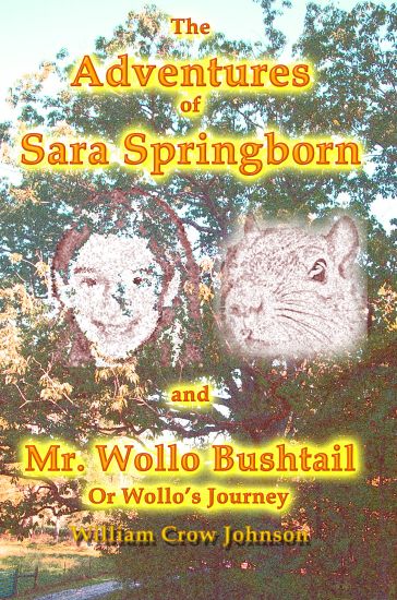 The Adventures of Sara Springborn and Mr. Wollo Bushtail: or Wollo's Journey