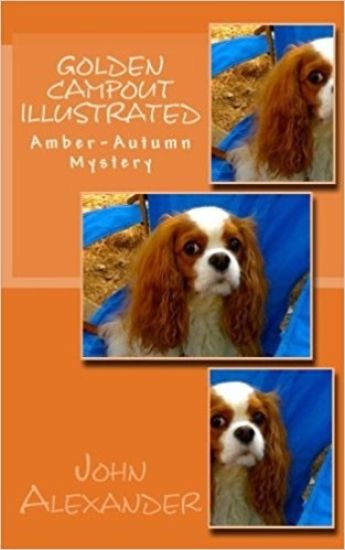 Golden Campout Illustrated: Amber-Autumn Mystery