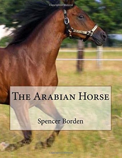 The Arabian Horse