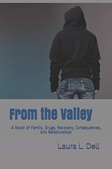 From the Valley: A Novel of Family, Drugs, Recovery, Consequences, and Relationships