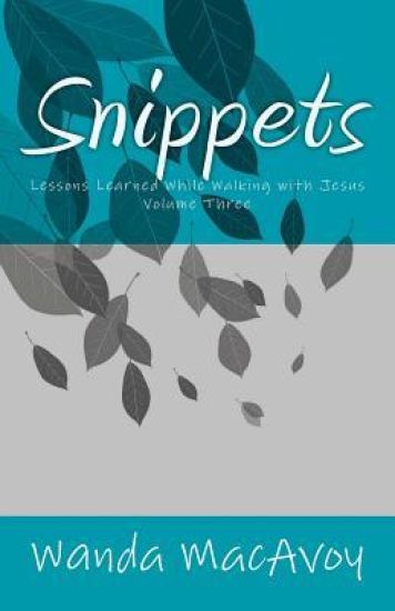Snippets: Lessons Learned While Walking with Jesus