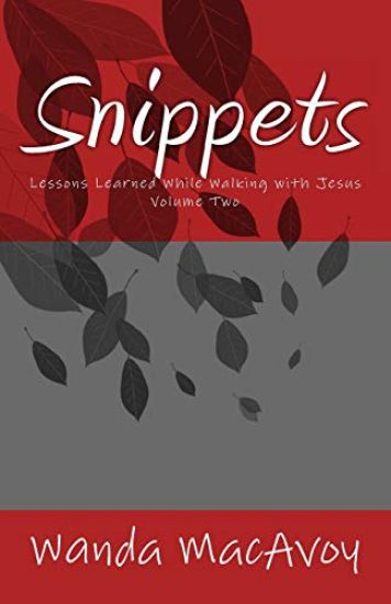 Snippets: Lessons Learned While Walking with Jesus