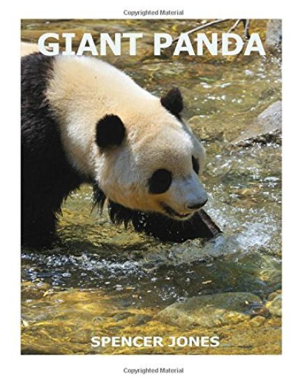 Giant Panda