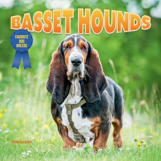Basset Hounds