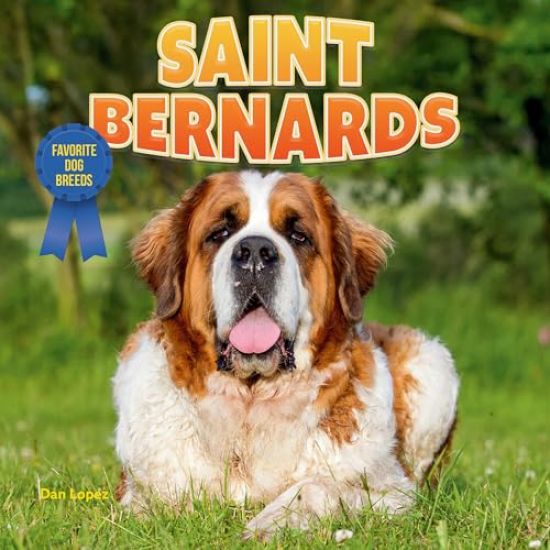 Saint Bernards