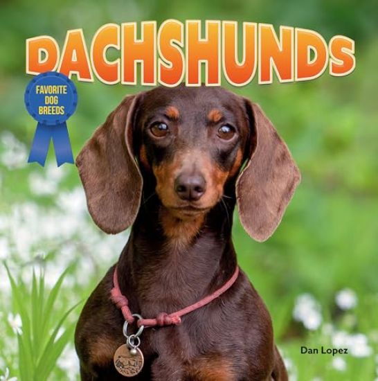 Dachshunds