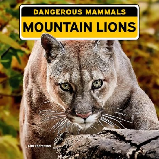 Mountain Lions