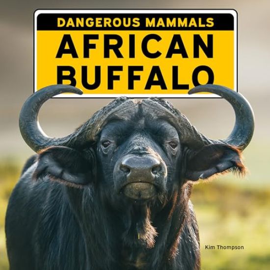 African Buffalo