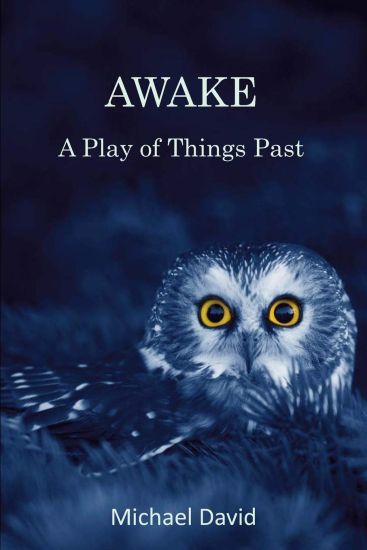 Awake: A Play