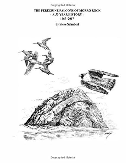 The Peregrine Falcons of Morro Rock - A 50-Year History: 1967 - 2017