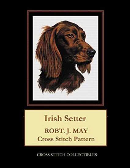Irish Setter