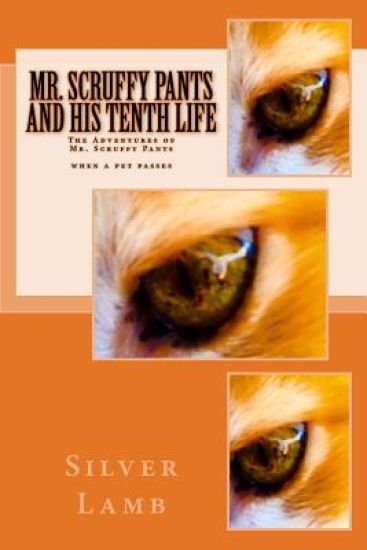 Mr. Scruffy Pants and His Tenth Life: The Adventures of Mr. Scruffy Pants