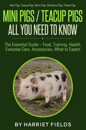 Mini Pigs / Teacup Pigs All You Need To Know: The Essential Guide - Food, Training, Health, Everyday Care, Accessories What to Expect Mini Pigs, Teacu