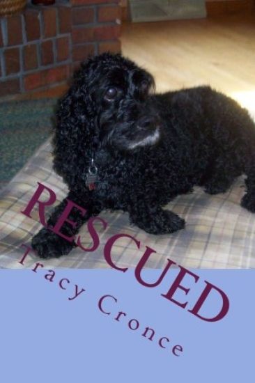Rescued: The Story of a Cocker Spaniel's Second Chance at Life