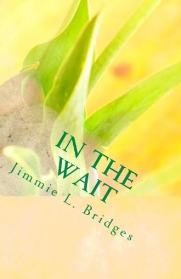 In The Wait: God's Promises Are Real