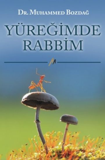 Yuregimde Rabbim