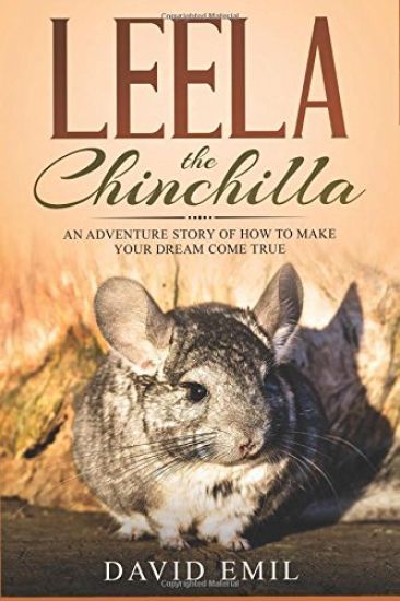 Leela The Chinchilla: An adventure story of how to make a dream come true