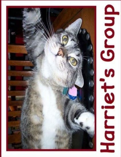 Harriet's: Eclectic gatherings